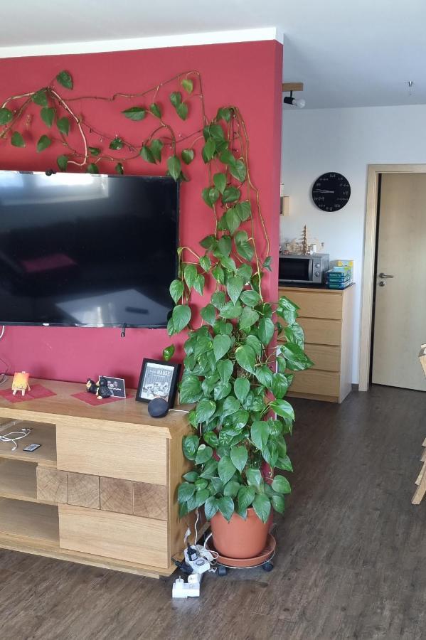 Ferienwohnung Bergidyll Schwarzenberg  Extérieur photo